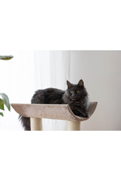 KERBL Cat play set - Ambiance