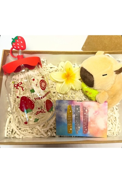 Frezya Hediyelik Kapibaralı Hediye Kutusu