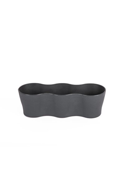 bahçe market Üçlü Kaktüs Saksı 5,5 cm – 3'lü Paket Renkli Mini Kaktüs Fide Sa...