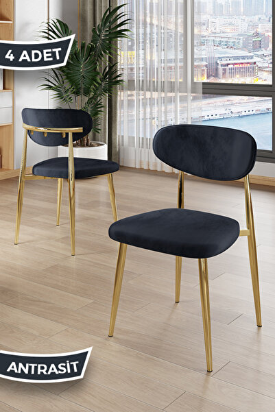 Canisa Laos Serisi 4 Adet Antrasit Mutfak Sandalyesi Gold Kaplama Metal Ayak ...