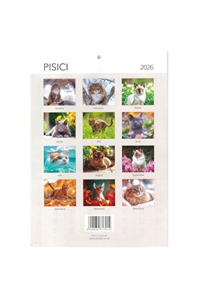 O-PRESS Calendar cu pisici 2026, format A3, 8 file,