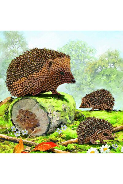 Craft Buddy Creative set of crystal paintings Hedgehogs, 18x18 cm,