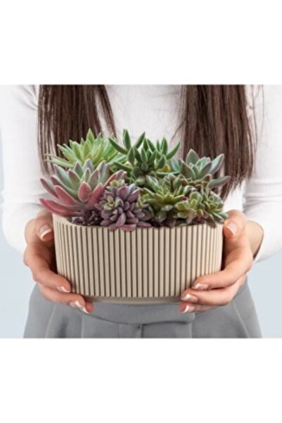 OEM Ghiveci de flori, Arta, 1,8 L