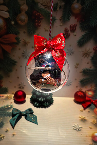 Nb Decoroma Surprise Scented Socks Inside a Christmas Gift Globe – Christmas Themed, Surprise Delivery