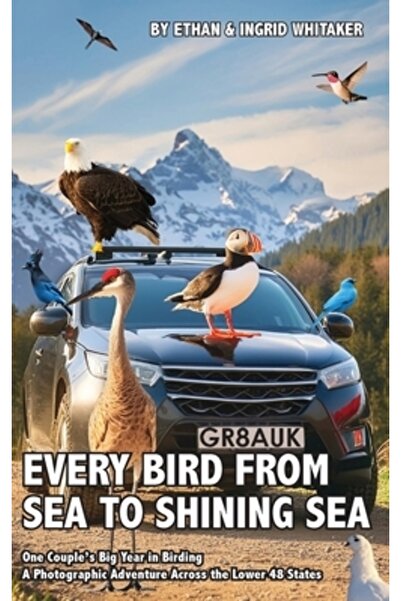 INDEPENDENT CAT Fiecare pasăre de la mare la marea strălucitoare: Anul import...