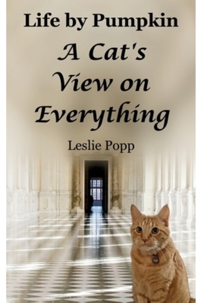 INDEPENDENT CAT Viața prin dovleac: Perspectiva unei pisici asupra tuturor lu...