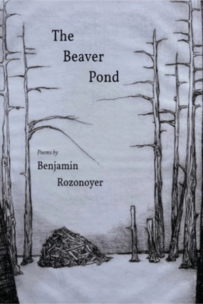 INDEPENDENT CAT Iazul Castorilor