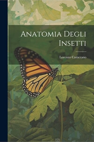 Legare Street Pr Anatomia Insectelor
