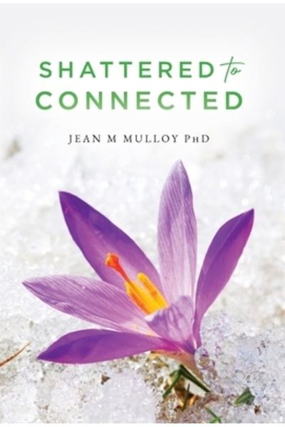 Vertel Pub De la sfărâmat la conectat