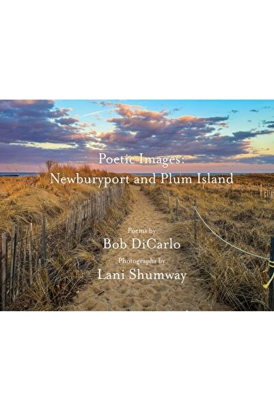 INDEPENDENT CAT Imagini poetice: Newburyport și Plum Island