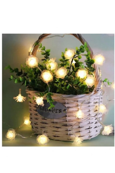 Blusmart Instalatie incarcare solara, 5m, 50 LED Rose, lumina calda