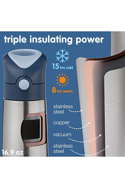 b.box Insulated Water and Drink Bottle for Kids, Insulated Double Wall Stainless Steel, Keeps Drinks