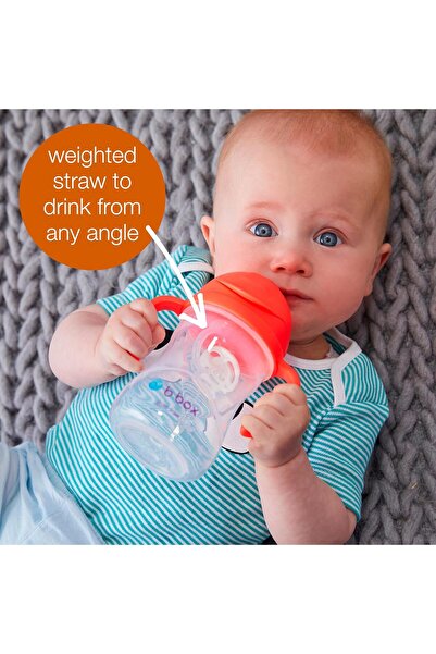 b.box Sippy Cup with Weighted Fliptop Straw (Pistachio, 8 oz)