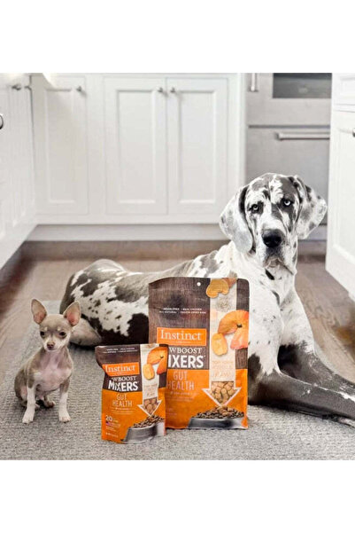 INSTINCT Raw Boost Mixers Gut Health Freeze Dried Chicken Dog Food Topper