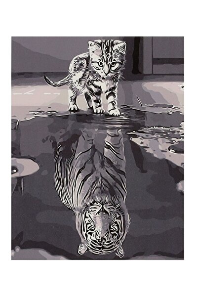 Ikonka Set pictura pe numere 40x50cm Cat and Tiger