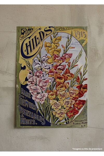 VreauPoster Poster A4 Magazine 1915 Rare Flowers Carton 250gr