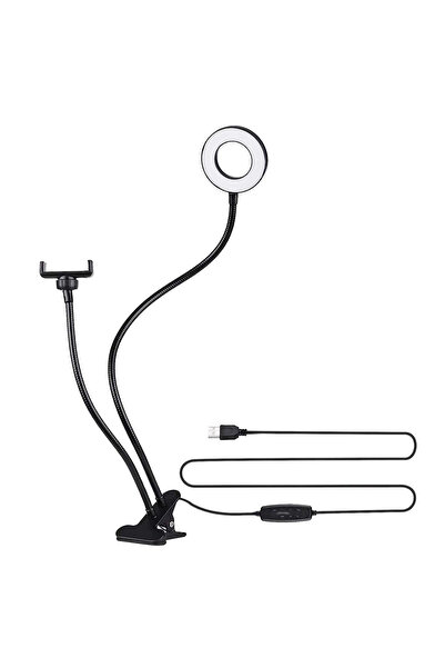 zola Desk lamp, with 24 LEDs, swivel phone holder, 3 lighting modes, USB powe...