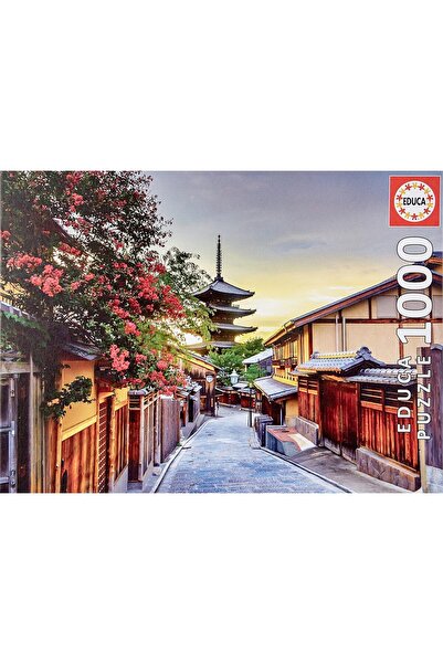 EDUCA jigsaw puzzle game, unisex, 12 years and up