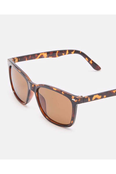 REDTAG Men Brown Wayfarer Sunglasses