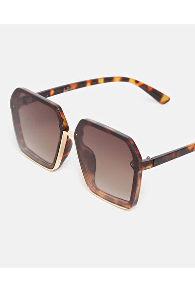 REDTAG Women Brown Oversize Sunglasses