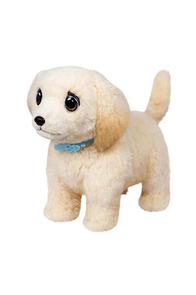 Genel Markalar Yavru Köpek İyileşiyor Oyun Seti L0100000