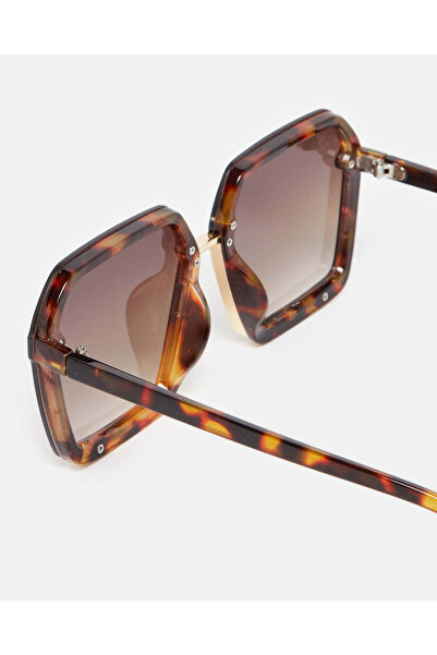 REDTAG Women Brown Oversize Sunglasses