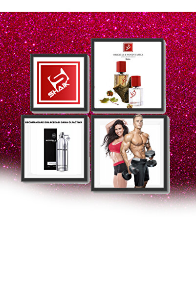 Shaik Nr. 413 Mango Manga