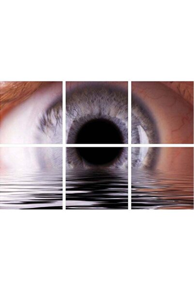 Drub Alabdaa لوحة فنية جدارية بدون إطار من ساسب، 6 قطع - متعددة الألوان