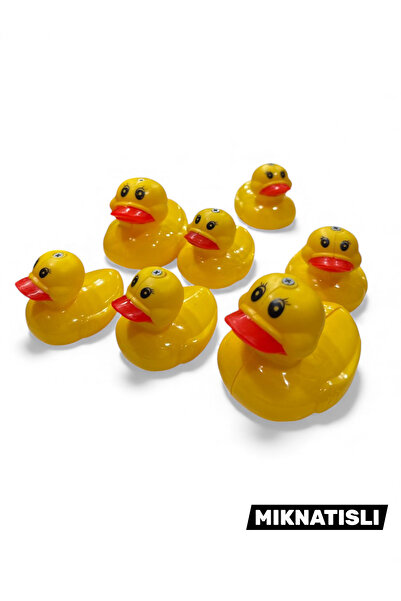 YILDIRIM OYUNCAK 2 Oltalı Mıknatıslı Aksesuarlı Banyo Havuz Oyuncağı Ördekli-Mıknatıslı Yakalama Oyunu