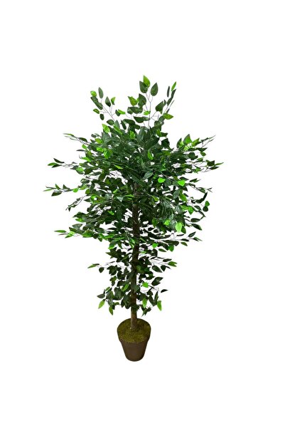 ŞA-DAL STORE Yapay Benjamin Ağacı 180 Cm Yoğun Yapraklı (Plastik Saksılı)