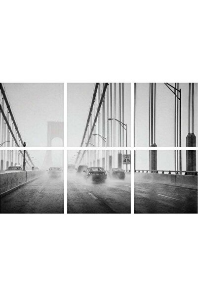 Sasb 6-Piece Frameless Multi-Color Wall Panel