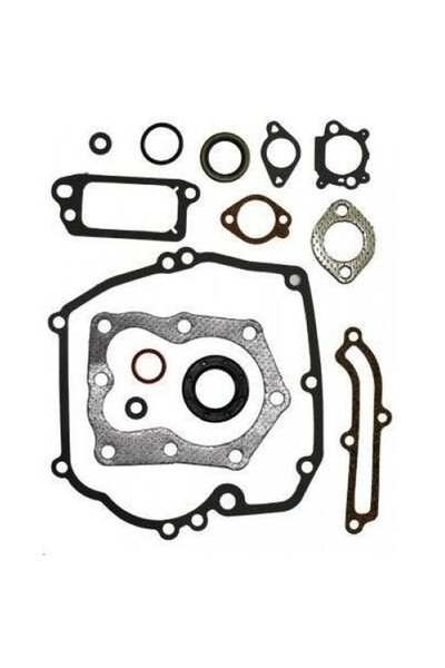 Garden Parts Σετ παρεμβυσμάτων Briggs&Stratton Quantum