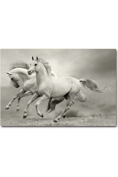 Drub Alabdaa Atik wall art panel depicting white gray horses 40x60 cm
