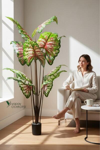 YAPAY ÇİÇEKÇİNİZ 14 Büyük Yapraklı 180 cm Yapay Fil Kulağı Ağacı