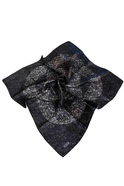 Aker Silk Crepe Satin Scarf 2026 Winter Season 6201701-311