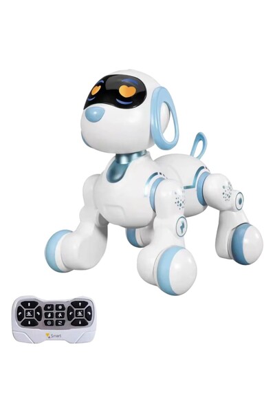 AyrStore 30 Fonksiyonlu Uzaktan Kumandalı Şarjlı Sesli Işıklı Dokunma Algılama Programlama Robot Köp