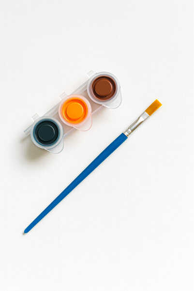 ehobici Set de vopsea acrilică în 3 culori + pensulă