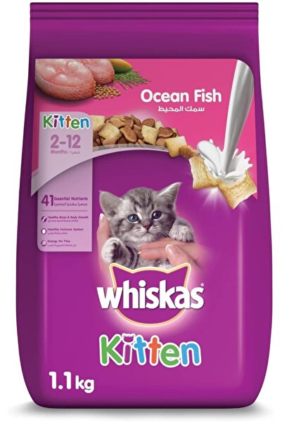 Whiskas Dry Cat Food - Ocean Fish with Milk, 1.1 kg (Mothers & Kittens, Prebiotics & Colostrum)