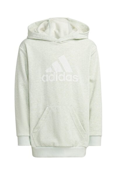 adidas Icons Hoodie