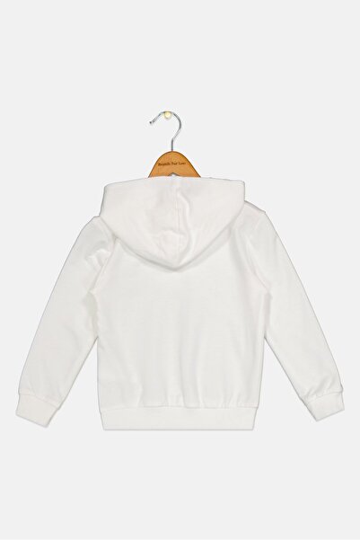 Disney Toddlers Boy Long Sleeve Mickey And Friends Hoodie, White