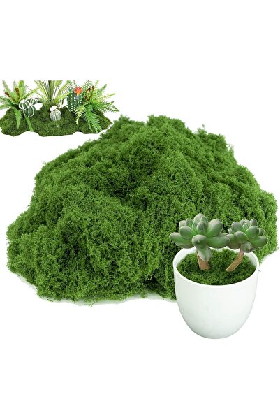 MirageBotanics طحلب صناعي للنباتات - طحلب صناعي للحرف اليدوية، أخضر داكن (100...