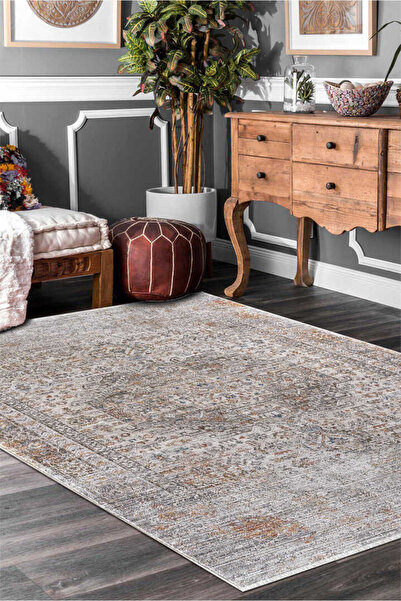 Frenda Indiana Etnik Desenli Vintage Görünümlü Modern Halı In04 Multi