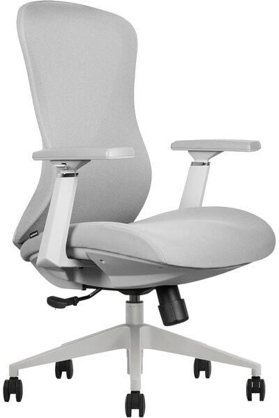 prowork Aria Ergonomic Mid-back Office Chair, Adjustable Lumbar, Neck Support, 3D Armrests (Grey)