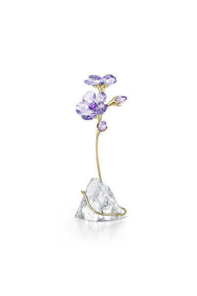 Swarovski Florere Rozanne