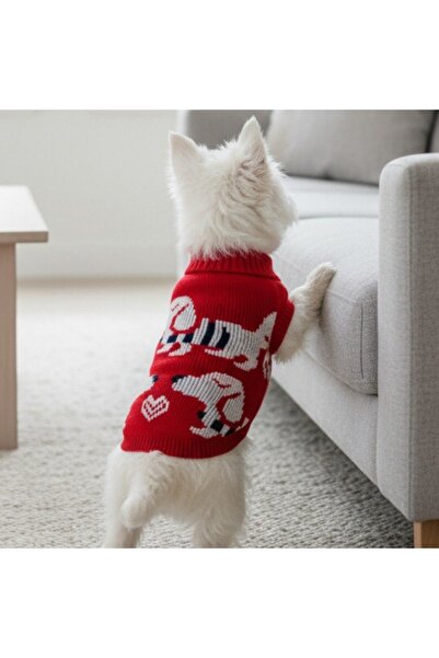 OEM Κομψό πλεκτό πουλόβερ για μικρά και μεσαία κατοικίδια, XINA2207