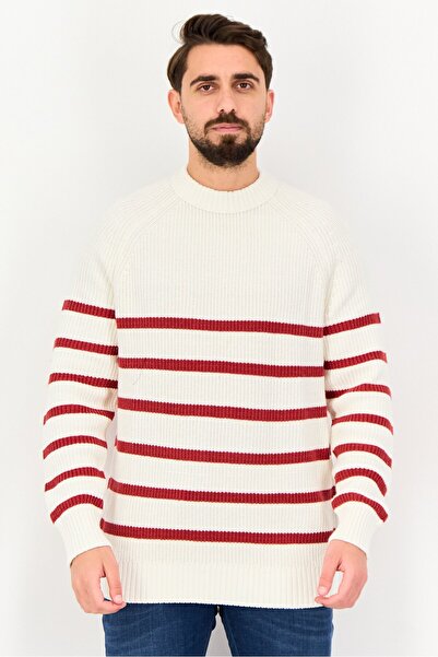 CELIO Men Crew Neck Stripe Sweater, Multicolor