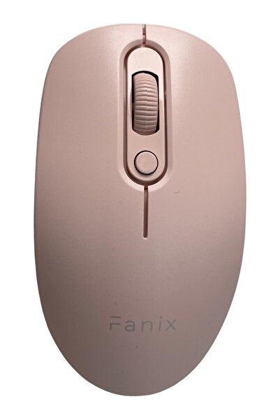 FANİX FNX 6001 Kablosuz Mouse