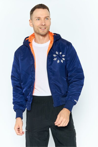 adidas Men Sportswear Fit Long Sleeve Outdoor Puffer Jacket, Blue