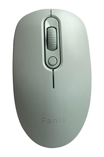 FANİX FNX 6001 Kablosuz Mouse