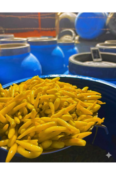 MA HASANOGULLARI GOLD ACI CİN BİBERİ TURŞUSU 9 KG